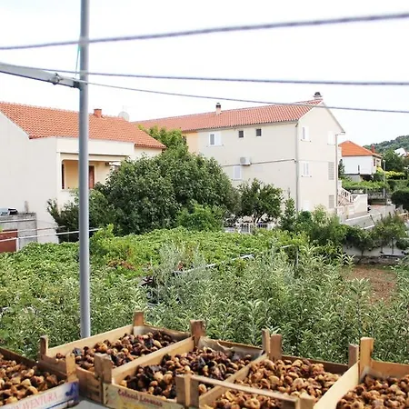 Maca Guest house