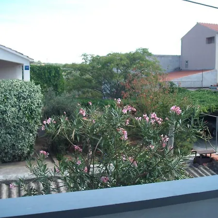 Maca Guest house